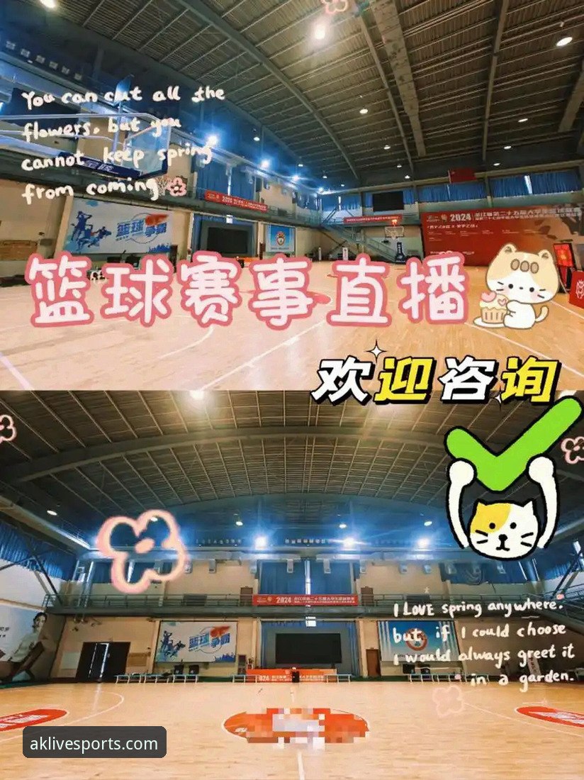 AK体育直播官方入口怎么样 揭秘AK体育直播官方入口的真实体验——你不知道的赛事平台深度解析