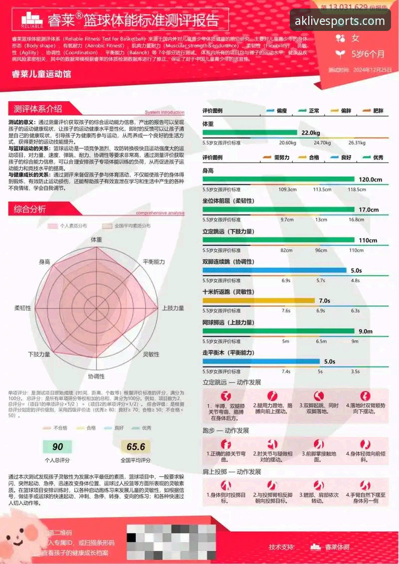 AK体育平台深度分析：用户体验与功能全面解读